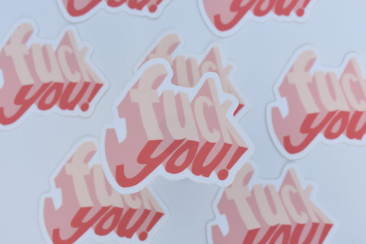 Fuck You laptop Sticker, Curse Sticker, Waterbottle sticker, Explicit Decor